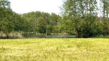 Parduodamas  sklypas Papiškių k., Varėnos r. sav., 482 a ploto 9