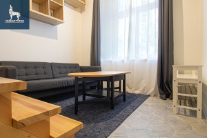 Nuomojamas butas Šaltinių g., Senamiestis, Vilniaus m., Vilniaus m. sav., 22 m2 ploto, 2 kambariai 4