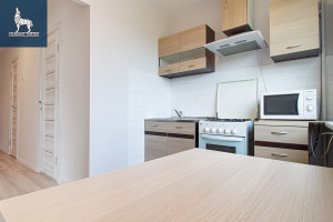 Nuomojamas butas Laisvės pr., Karoliniškės, Vilniaus m., Vilniaus m. sav., 48 m2 ploto, 2 kambariai 24