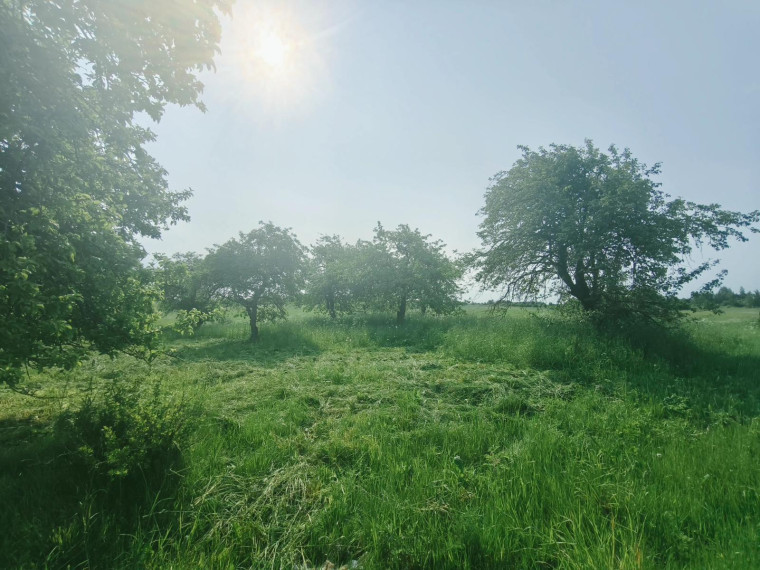 Parduodamas namas Žilvičių g., Dailidžių k., Molėtų r. sav., 36 m² ploto 2 kambariai 5