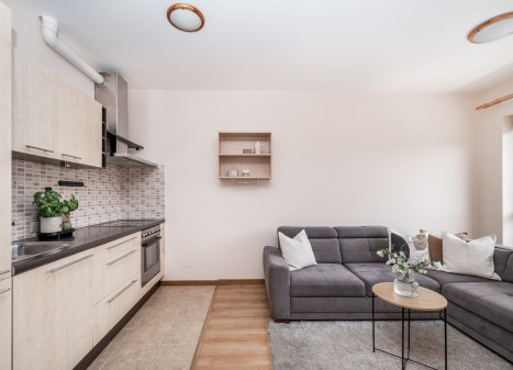 Parduodamas butas Santariškių g., Santariškės, Vilniaus m., Vilniaus m. sav., 44.74 m2 ploto, 2 kambariai