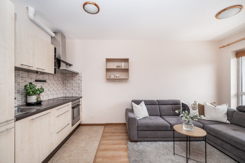 Parduodamas butas Santariškių g., Santariškės, Vilniaus m., Vilniaus m. sav., 44.74 m2 ploto, 2 kambariai 1