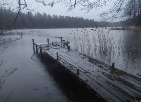 Parduodamas sklypas Makniūnų k., Alytaus r. sav., 78 a ploto