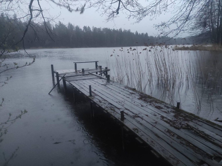 Parduodamas sklypas Makniūnų k., Alytaus r. sav., 78 a ploto 1