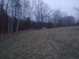 Parduodamas sklypas Makniūnų k., Alytaus r. sav., 78 a ploto 2
