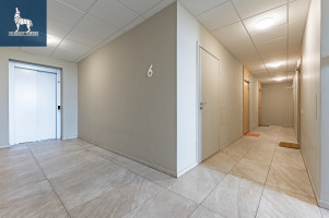 Nuomojamas butas Siesikų g., Šeškinė, Vilniaus m., Vilniaus m. sav., 29.13 m2 ploto, 1 kambariai 31