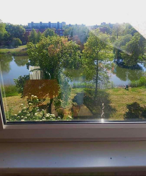 Parduodamas butas Šiaulių g., Naujakiemis, Klaipėdos m., Klaipėdos m. sav., 33 m² ploto 1 kambarys 1