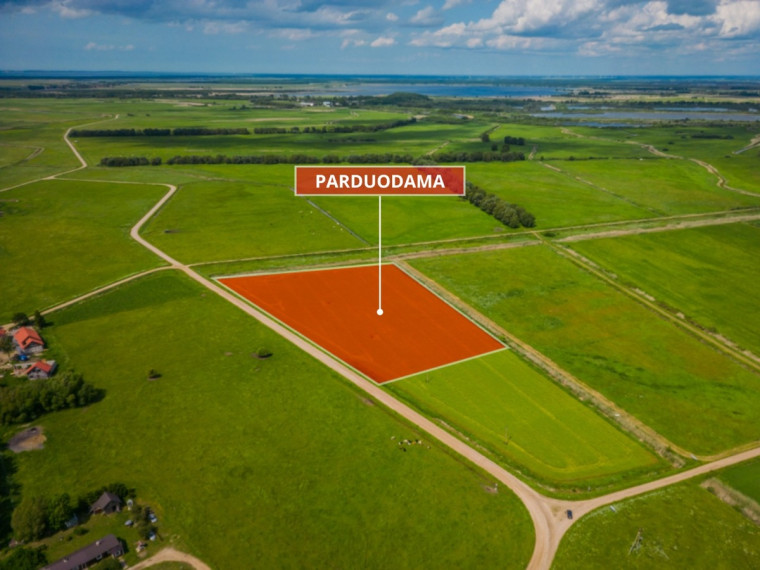 Parduodamas  sklypas Pakalnės k., Šilutės r. sav., 208 a ploto 12