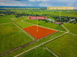Parduodamas  sklypas Pakalnės k., Šilutės r. sav., 208 a ploto 7