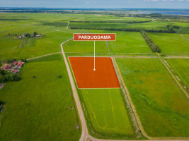 Parduodamas  sklypas Pakalnės k., Šilutės r. sav., 208 a ploto 13