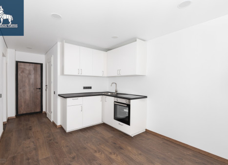 Parduodamas butas Širvintų g., Šnipiškės, Vilniaus m., Vilniaus m. sav., 34 m2 ploto, 2 kambariai