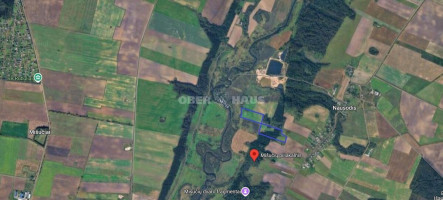 Parduodamas žemės ūkio paskirties sklypas Nausodžio k., Kretingos r. sav., 493 a ploto 4