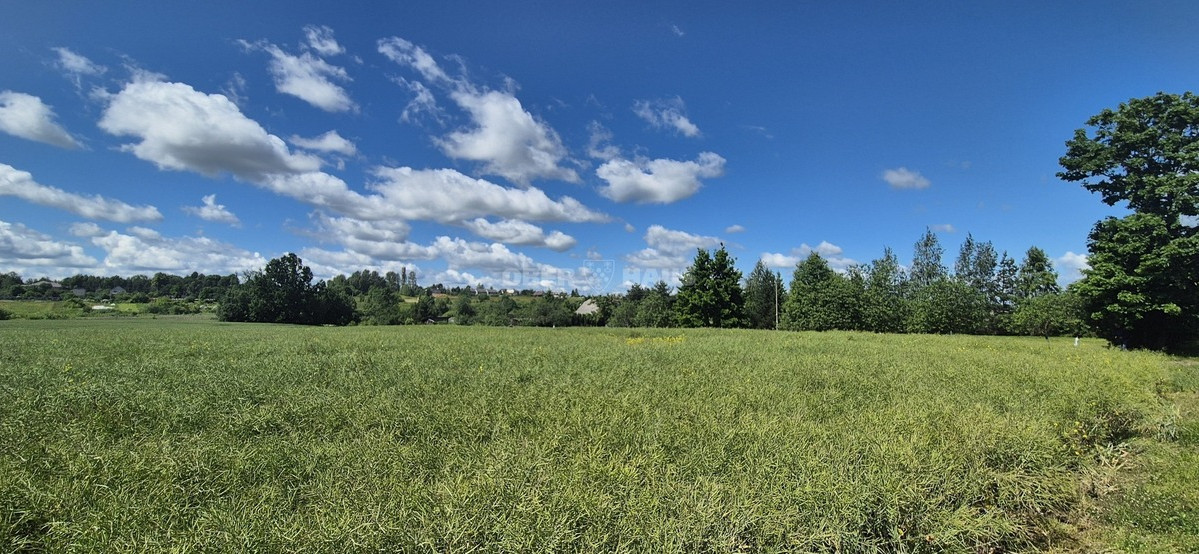 Parduodamas namų valdos paskirties sklypas Rasos g., Aukštelkės k., Šiaulių r. sav., 10 a ploto 5