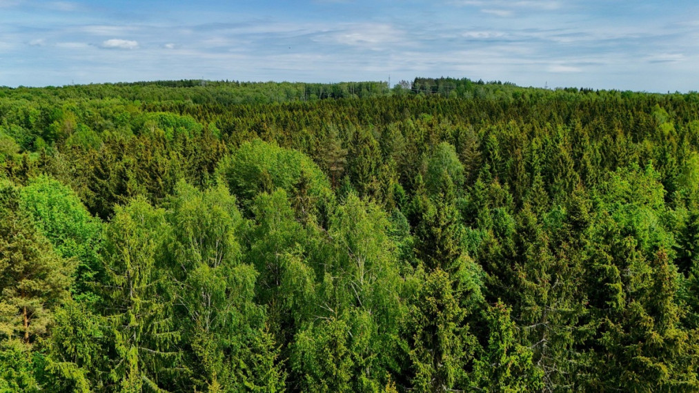 Parduodamas namas Sodybų 2-oji g., Juodiškių k., Vilniaus r. sav., 50 m2 ploto, 2 aukštai 31