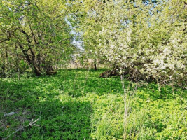 Parduodamas namas Liepų g., Ažugirių k., Utenos r. sav., 33.08 m² ploto 3 kambariai 22