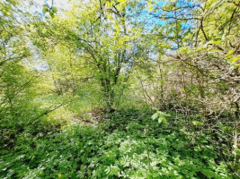 Parduodamas namas Liepų g., Ažugirių k., Utenos r. sav., 33.08 m² ploto 3 kambariai 23