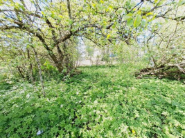 Parduodamas namas Liepų g., Ažugirių k., Utenos r. sav., 33.08 m² ploto 3 kambariai 24