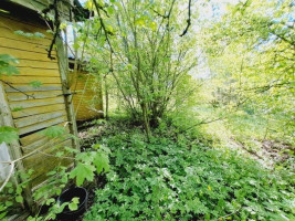 Parduodamas namas Liepų g., Ažugirių k., Utenos r. sav., 33.08 m² ploto 3 kambariai 25