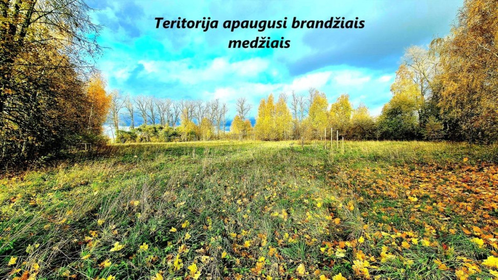 Parduodamos patalpos Draugystės g., Antakalnio k., Ukmergės r. sav., 440.00 m² ploto 6