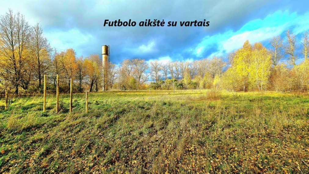 Parduodamas namas Draugystės g., Antakalnio k., Ukmergės r. sav., 440.00 m² ploto 15 kambarių 8