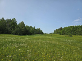 Parduodamas sklypas Žalvarių k., Molėtų r. sav., 420 a ploto 2