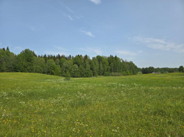 Parduodamas sklypas Žalvarių k., Molėtų r. sav., 420 a ploto 3