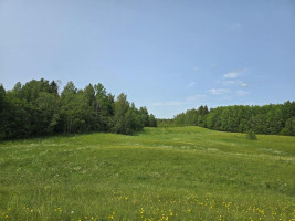 Parduodamas sklypas Žalvarių k., Molėtų r. sav., 420 a ploto 5