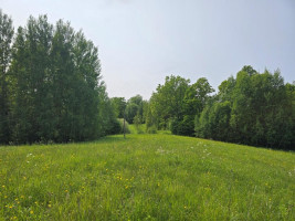 Parduodamas sklypas Žalvarių k., Molėtų r. sav., 420 a ploto 7