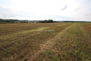Parduodamas žemės ūkio paskirties sklypas Šlikių k., Klaipėdos r. sav., 128 a ploto 12