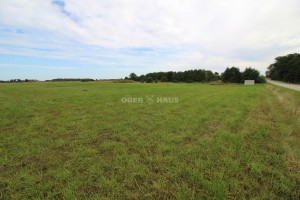 Parduodamas  sklypas Peskojų g., Dargužių k., Klaipėdos r. sav., 630 a ploto 16