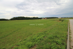 Parduodamas  sklypas Peskojų g., Dargužių k., Klaipėdos r. sav., 630 a ploto 17