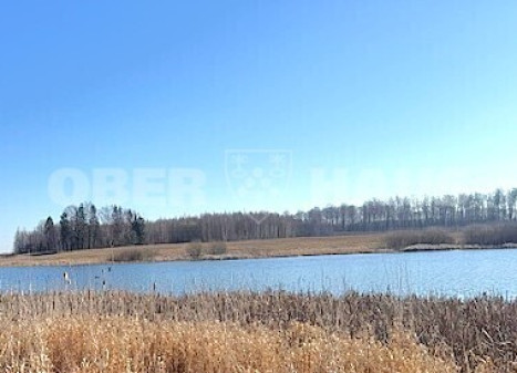 Parduodamas namų valdos paskirties sklypas Girbučių k., Kupiškio r. sav., 101 a ploto