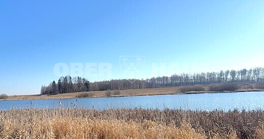 Parduodamas namų valdos paskirties sklypas Girbučių k., Kupiškio r. sav., 101 a ploto 1
