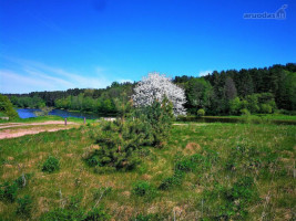 Parduodamas  sklypas Ožkinių g., Naujieji Verkiai, Vilniaus m., Vilniaus m. sav., 21.6 a ploto 11