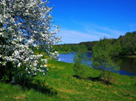 Parduodamas  sklypas Ožkinių g., Naujieji Verkiai, Vilniaus m., Vilniaus m. sav., 21.6 a ploto 12