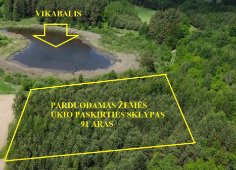 Parduodamas sklypas Varkališkių k., Kaišiadorių r. sav., 91 a ploto
