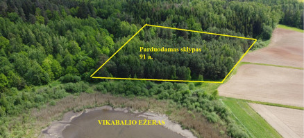 Parduodamas sklypas Varkališkių k., Kaišiadorių r. sav., 91 a ploto 3