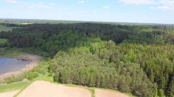 Parduodamas sklypas Varkališkių k., Kaišiadorių r. sav., 91 a ploto 8