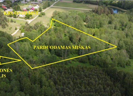 Parduodamas sklypas Kruonio mstl., Kaišiadorių r. sav., 122 a ploto