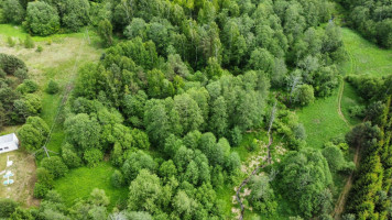 Parduodamas sklypas Kruonio mstl., Kaišiadorių r. sav., 122 a ploto 4