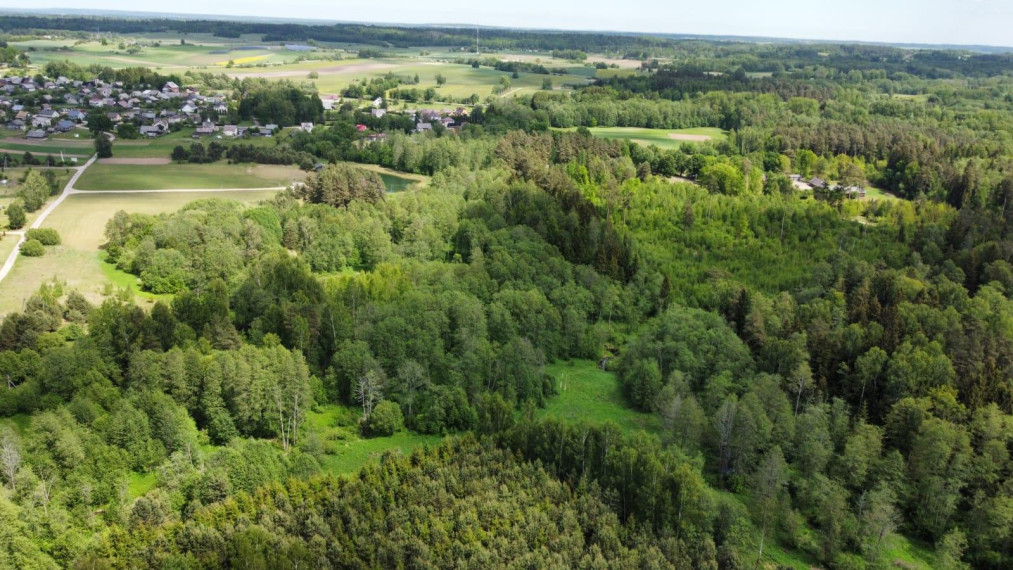 Parduodamas sklypas Kruonio mstl., Kaišiadorių r. sav., 122 a ploto 6