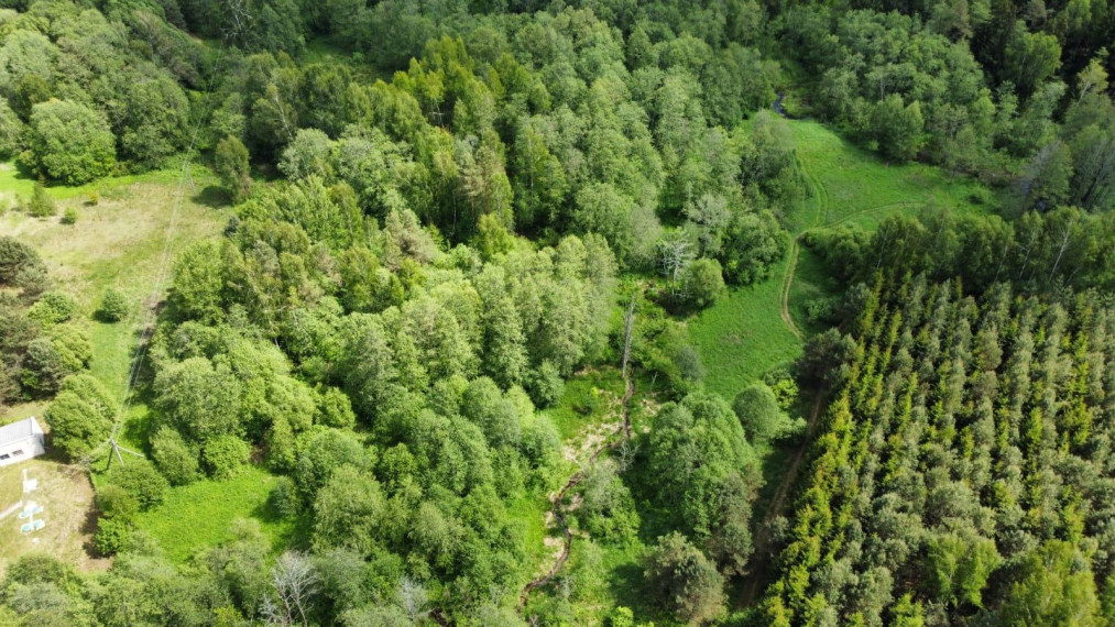 Parduodamas sklypas Kruonio mstl., Kaišiadorių r. sav., 122.00 a ploto 7