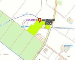 Parduodamas  sklypas Apušėlių k., Šiaulių r. sav., 281.76 a ploto 1