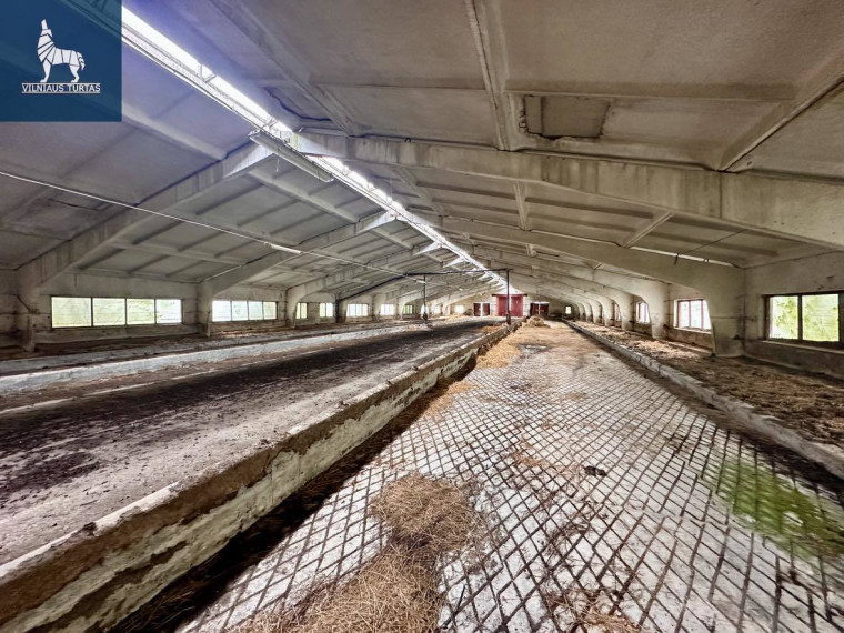 Parduodamos administracinės, kitos paskirties, sandėliavimo patalpos Žemaičių k., Kėdainių r. sav., 15700 m2 ploto 4