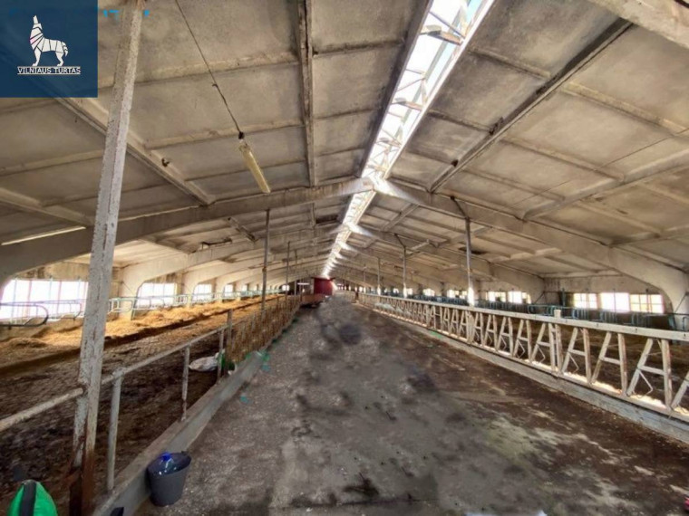 Parduodamos administracinės, kitos paskirties, sandėliavimo patalpos Žemaičių k., Kėdainių r. sav., 15700 m2 ploto 16