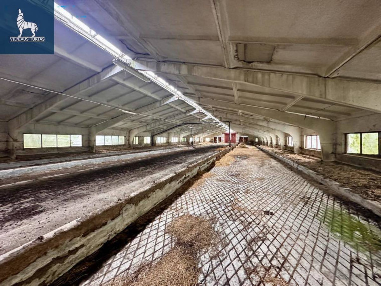 Parduodamos administracinės, kitos paskirties, sandėliavimo patalpos Žemaičių k., Kėdainių r. sav., 15700 m2 ploto 21