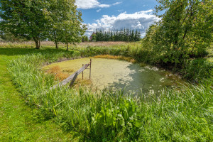 Parduodamas namas Mikalajūnų g., Gelvonų mstl., Širvintų r. sav., 64.46 m2 ploto, 2 aukštai 19