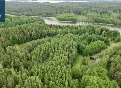 Parduodamas  sklypas Navikų k., Ignalinos r. sav., 345 a ploto