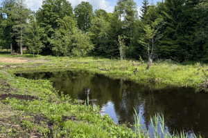 Parduodamas sklypas Subartėnų k., 33 a ploto 13