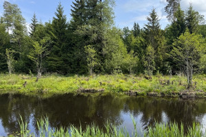 Parduodamas sklypas Subartėnų k., 33 a ploto 14